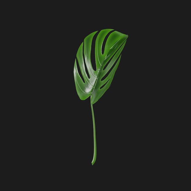 Thumbnail-https://img.freepik.com/3d-models/v2/U/B/Z/1/T/X/2/UBZ1TX2Z/plant-beauty-2.png?t=st=1752361498~exp=1752365098~hmac=f9611a149f1926ceaf0e8d278aab770a9ad3d10ba5e746e4feed669f8fab1a49