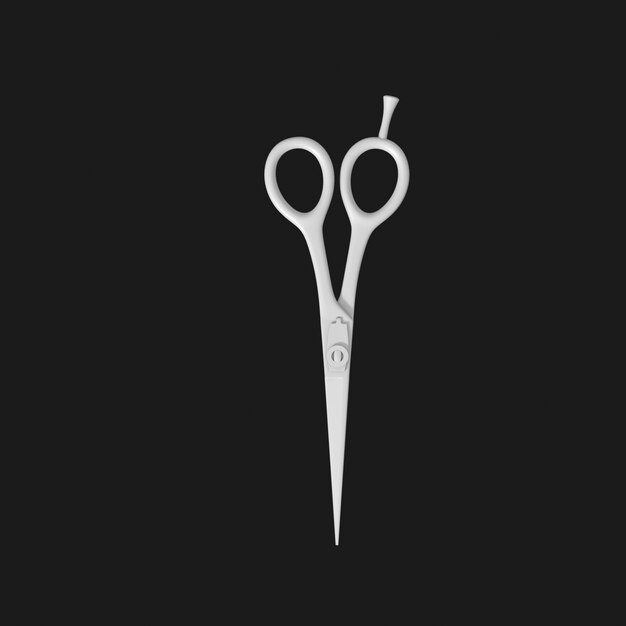 Thumbnail-https://img.freepik.com/3d-models/v2/U/K/8/S/U/D/9/UK8SUD97/scissors-beauty-2.png?t=st=1752384114~exp=1752387714~hmac=9cd868fc193bb4e2f5d0a58c825d2492c330f8063fc90f9d5d2eecac27a8bfa5