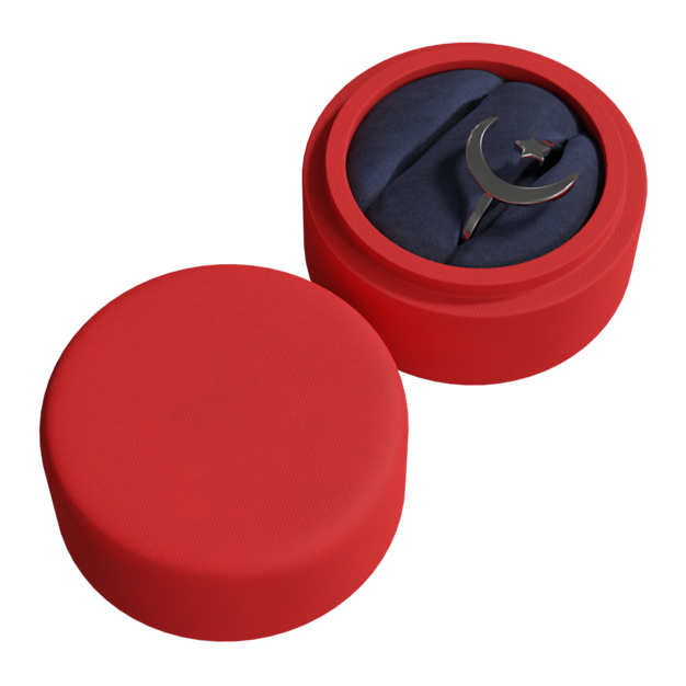 Thumbnail-https://img.freepik.com/3d-models/v2/U/N/E/0/R/N/D/UNE0RND2/ring-poster-2.png?t=st=1752366494~exp=1752370094~hmac=7adf312f353c1ad05b48505bdc262c8a634b50fee6bd35b5395bf537b0246a92