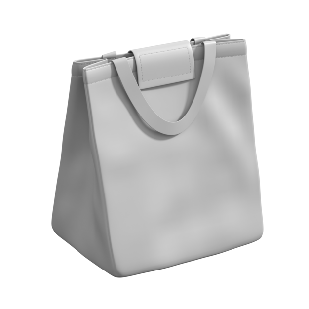 Foldable Lunch Bag