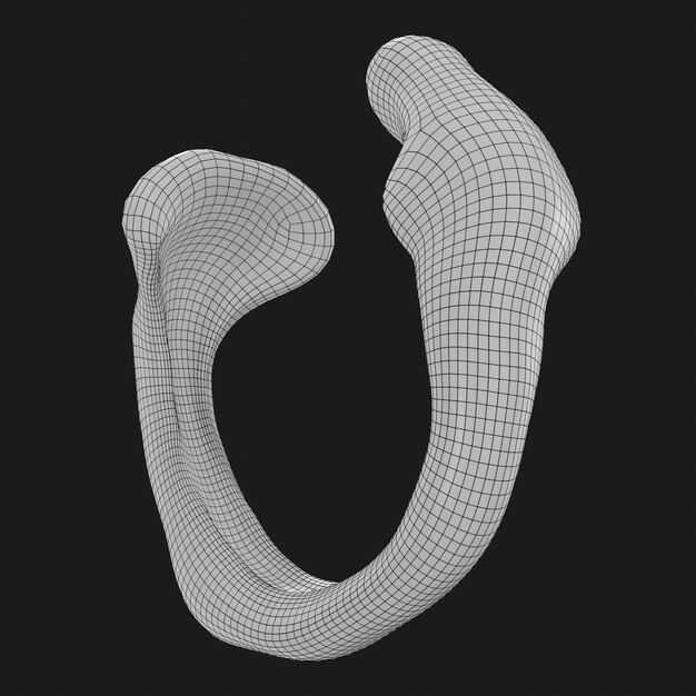 Thumbnail-https://img.freepik.com/3d-models/v2/V/J/X/4/4/0/N/VJX440NK/glass-shape-wire-3.png?t=st=1752396757~exp=1752400357~hmac=5db449389c90f616289f1be07be94b920016c20f82775b3d28c4a3ec95007e37