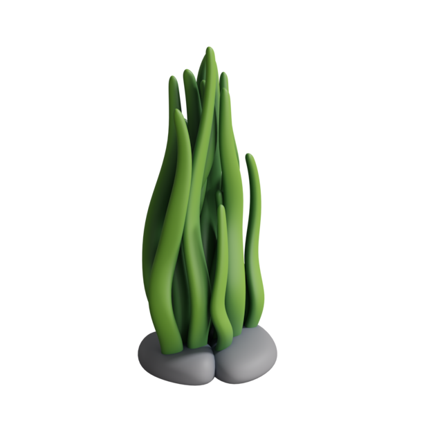 Thumbnail-https://img.freepik.com/3d-models/v2/W/N/O/3/Z/7/L/WNO3Z7L5/seaweed-icon-poster-1.png?t=st=1752410768~exp=1752414368~hmac=1471fbebeeed34d4cb45554a3f0a8bf106143bc2735a206c1684faa64dff3fea