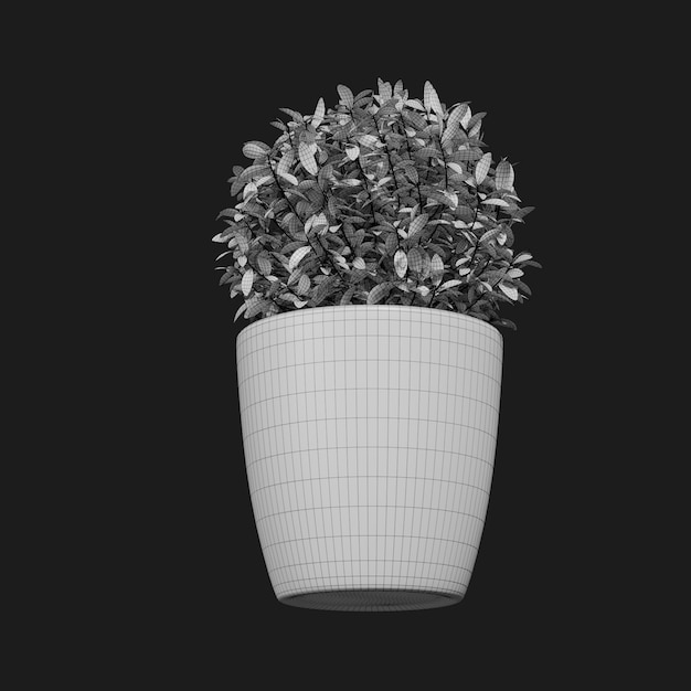 Thumbnail-https://img.freepik.com/3d-models/v2/W/X/P/Q/5/N/U/WXPQ5NUK/plant-wire-2.png?t=st=1752399357~exp=1752402957~hmac=e08287dae927c9aa651590fe62f4ad82946508eaccca4021db157f158a154c75
