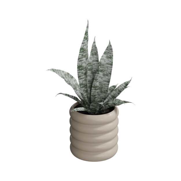 Planta serpiente exterior