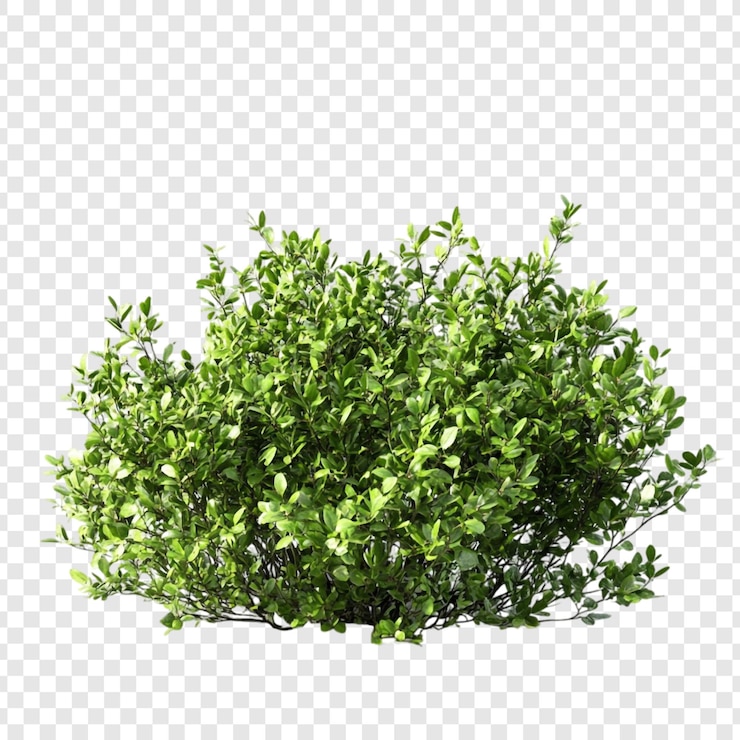 Błyszczące zielone krzewy 3D renderowanie żywych liści