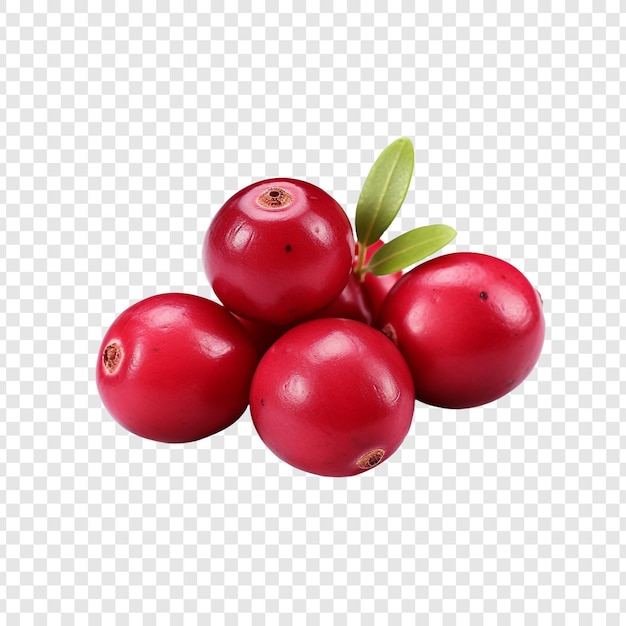 Cranberry Wyizolowane Na Przezroczystym Tle