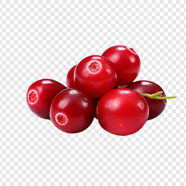 Cranberry Wyizolowane Na Przezroczystym Tle