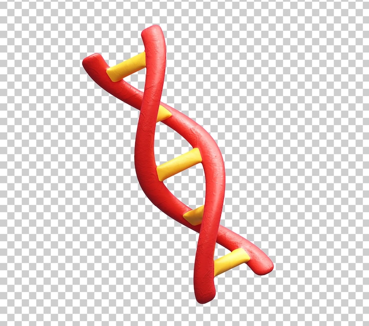 Bezpłatny plik PSD dna organy ludzkie 3d ilustracja ikony