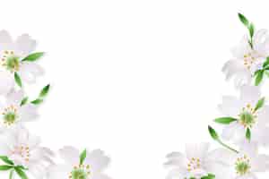 Bezpłatny plik PSD element ramki realistyczny kwiat na białym tle