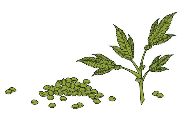 Bezpłatny plik PSD ilustracja izolowanej rośliny chwastów