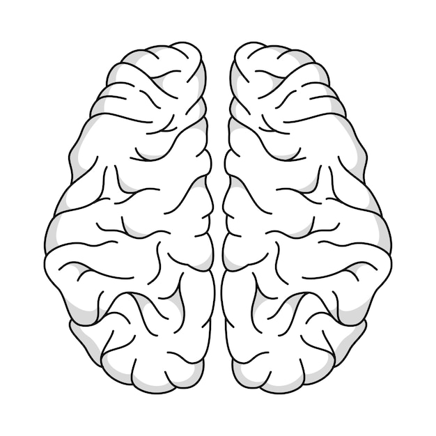 Bezpłatny plik PSD ilustracja obrysu mózgu