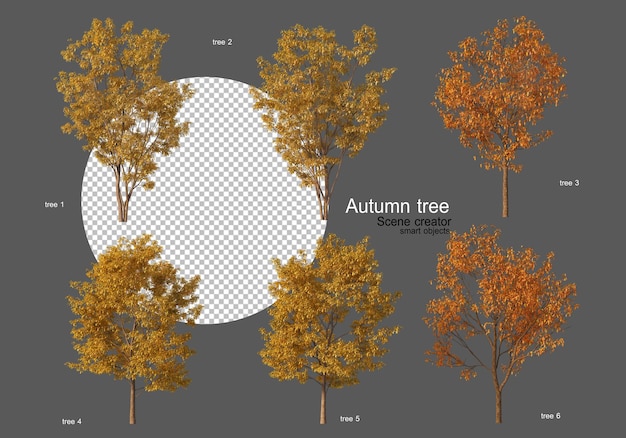 Jesienne drzewa różne rodzaje wiele kształtów