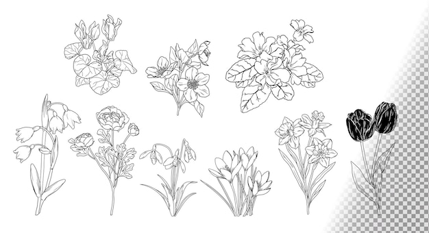 Bezpłatny plik PSD kolekcja kwiatów na białym tle