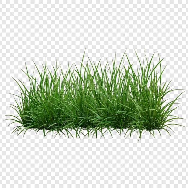 Lush Green Grass Patch Żywy 3D render naturalnych liści