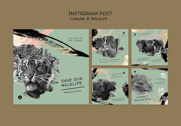 Bezpłatny plik PSD ochrona i ochrona przyrody kolekcja postów na instagramie z abstrakcyjnymi pociągnięciami pędzla