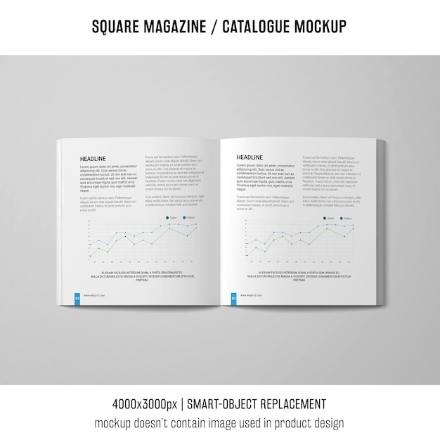 Otwarty Kwadratowy Magazyn Lub Makieta Katalogu