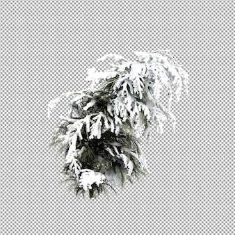 Piękna roślina w renderowaniu 3d na białym tle