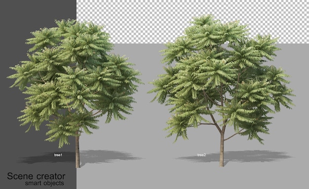 Renderowania 3d różnych typów drzew na białym tle