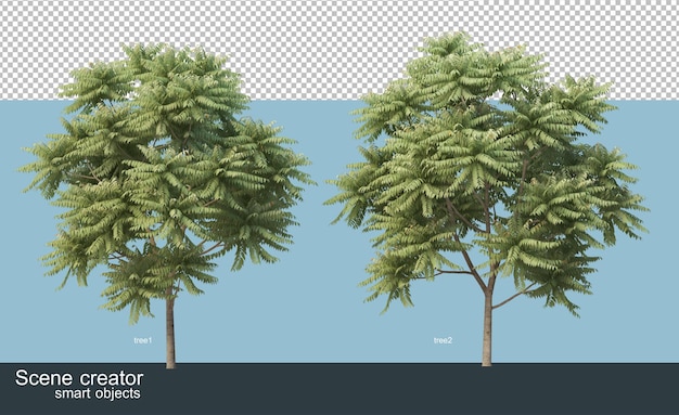 Renderowanie 3d różnych gatunków drzew