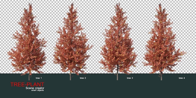 Różne Rodzaje Drzew Premium Psd