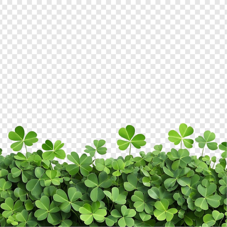 Bezpłatny plik PSD shamrock border błyszcząca zielona kolekcja czterolistych koniczyn