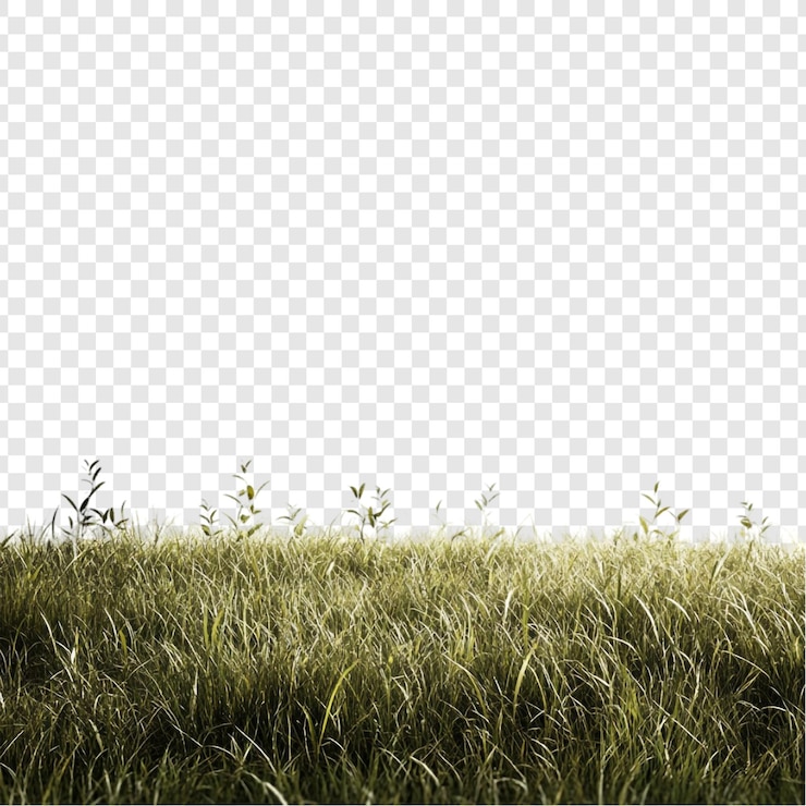 Bezpłatny plik PSD spokojna trawa panorama błyszcząca zielona łąka