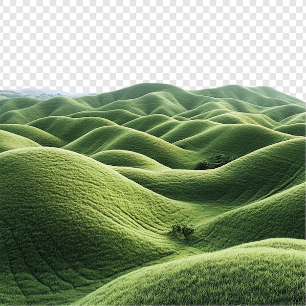 Spokojne Zielone Wzgórza - panorama giętkich łąk