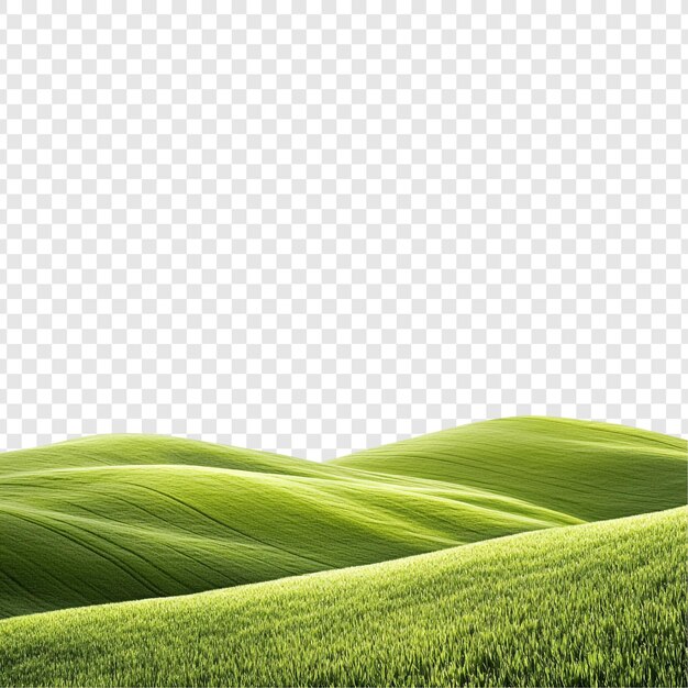 Spokojny, zielony krajobraz Rolling Hills