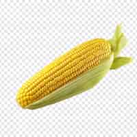 Bezpłatny plik PSD Świeża, surowa kukurydza png na przezroczystym tle