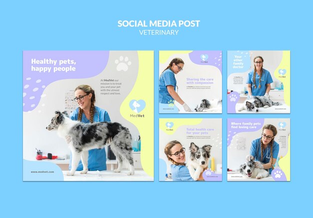 Szablon postów na instagramie kliniki weterynaryjnej