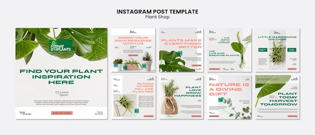Bezpłatny plik PSD szablon postów na instagramie sklepu roślinnego