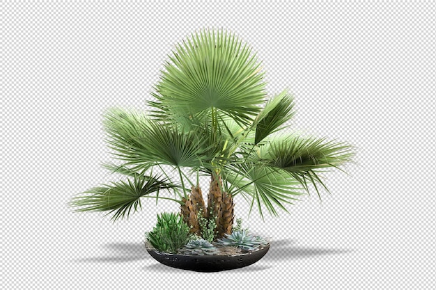 Tropikalne drzewa i kwiaty w renderowaniu 3d na białym tle