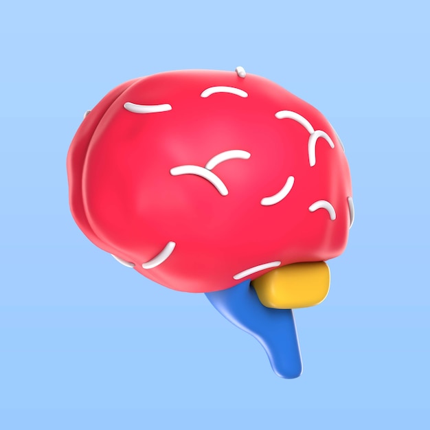 Bezpłatny plik PSD zilustrowana anatomia mózgu