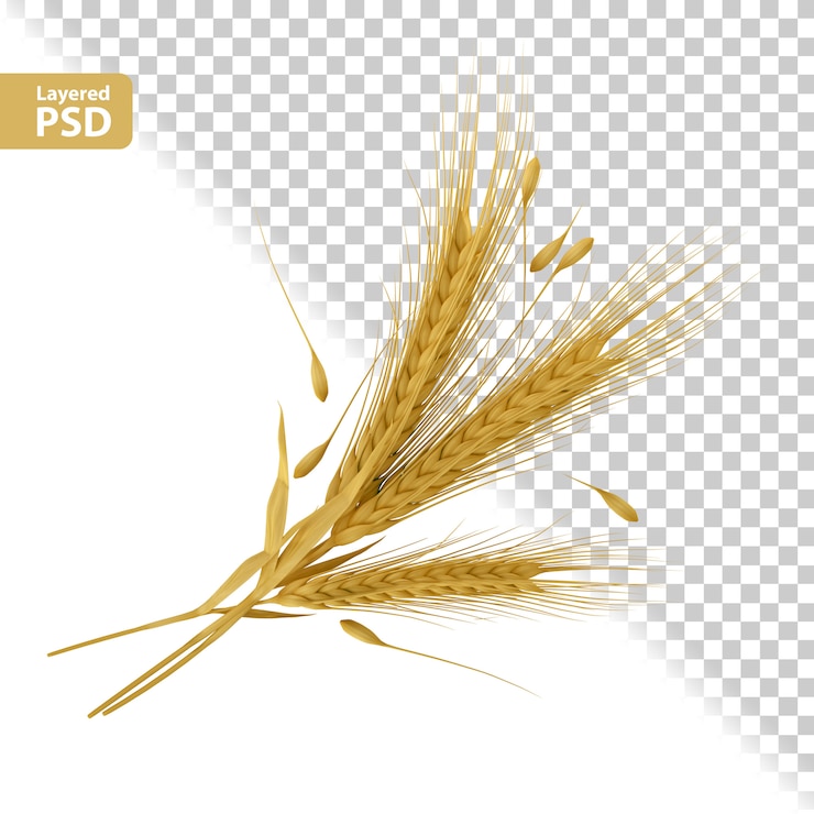 Bezpłatny plik PSD żółta kompozycja kłosów z układaniem nasion