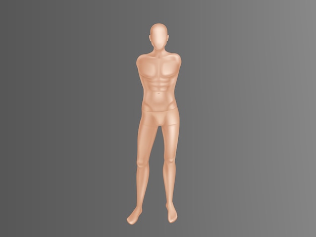 3d realistyczny męski manekin - pełne ciało bez rąk. Ludzka postać z mięśniami do treningu
