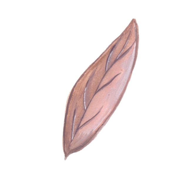 Abstrakcyjny element liścia Różowy tło akwarela Ilustracja Wysoka rozdzielczość Darmowe zdjęcie