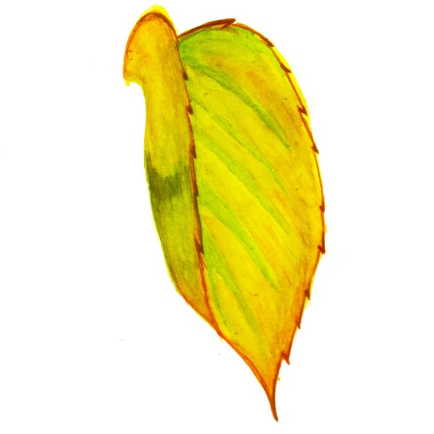 Abstrakcyjny element liścia Żółte tło akwarela Ilustracja Wysoka rozdzielczość Darmowe zdjęcie