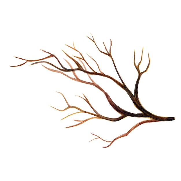 Bezpłatny wektor abstrakcyjny element macierzysty brązowy akwarela ilustracja tła wysoka rozdzielczość darmowe zdjęcie