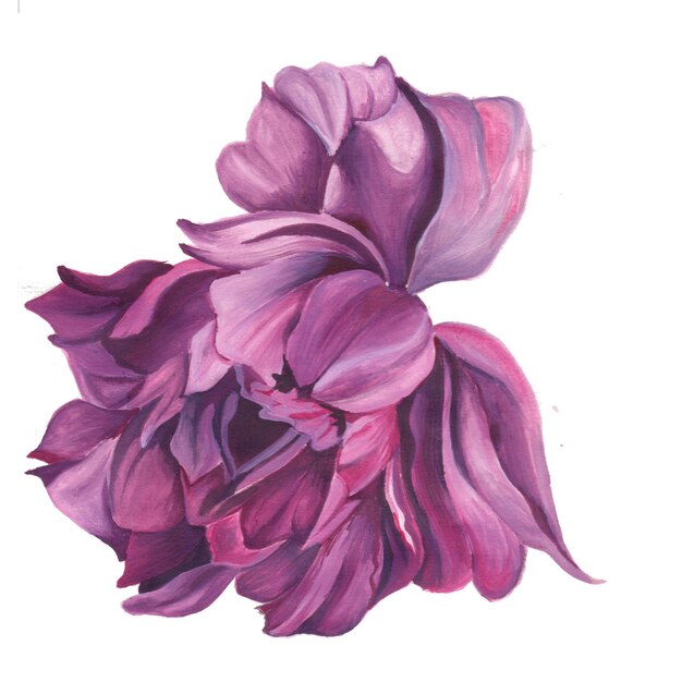 Abstrakcyjny Kwiat Element Różowy Fioletowy Akwarela Ilustracja Tła Wysoka Rozdzielczość Darmowe zdjęcie