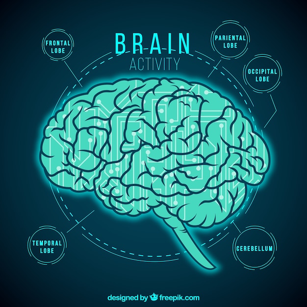 Bezpłatny wektor aktywność mózgu infografika