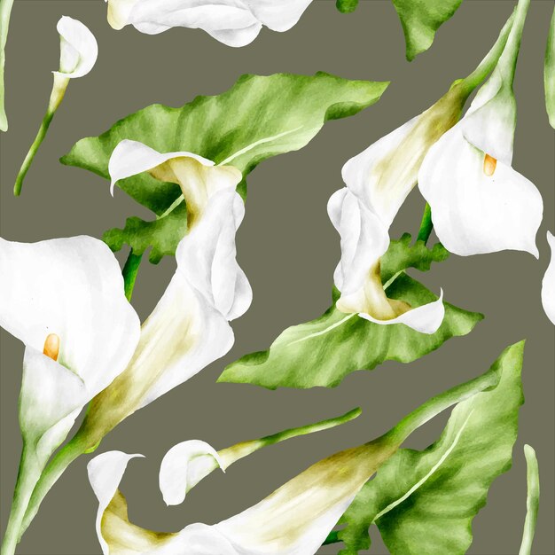 Bezpłatny wektor akwarela biały kwiat lilii calla kwiatowy wzór