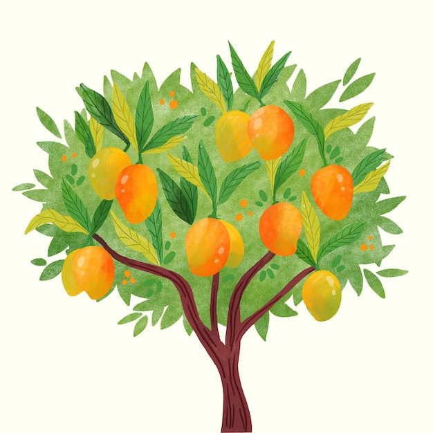 Akwarela Ilustracja Drzewo Mango