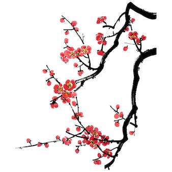 Akwarela ilustracja wektorowa gałęzi kwitnącego drzewa owocowego