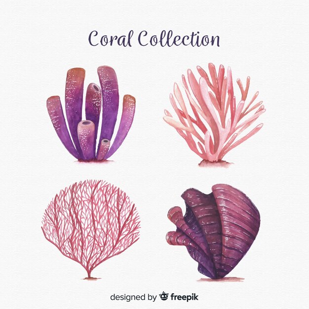 Akwarela kolekcja koralowców