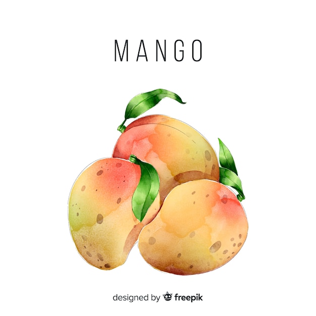 Bezpłatny wektor akwarela mango