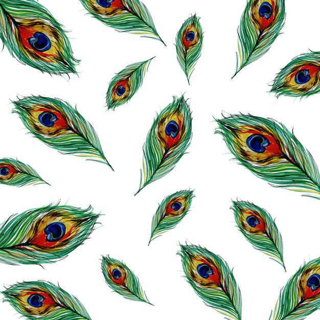 Akwarela Pióra Peacock tle