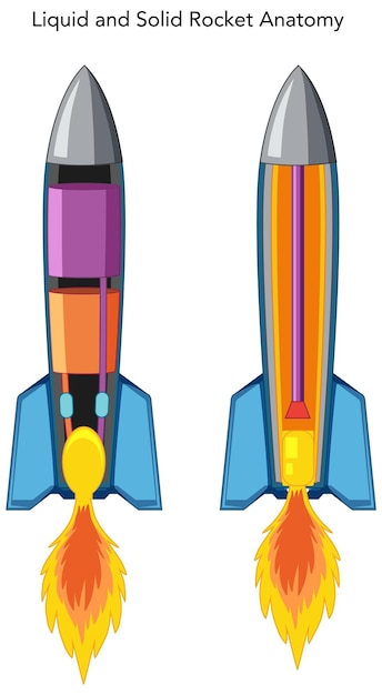 Bezpłatny wektor anatomia rakiet ciekłych i stałych