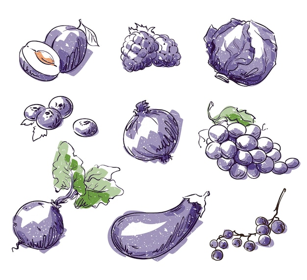 Asortyment fioletowych potraw, owoców i warzyw, szkic wektorowy