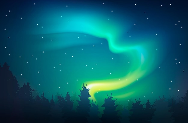 Bezpłatny wektor aurora realistyczne tło nocy