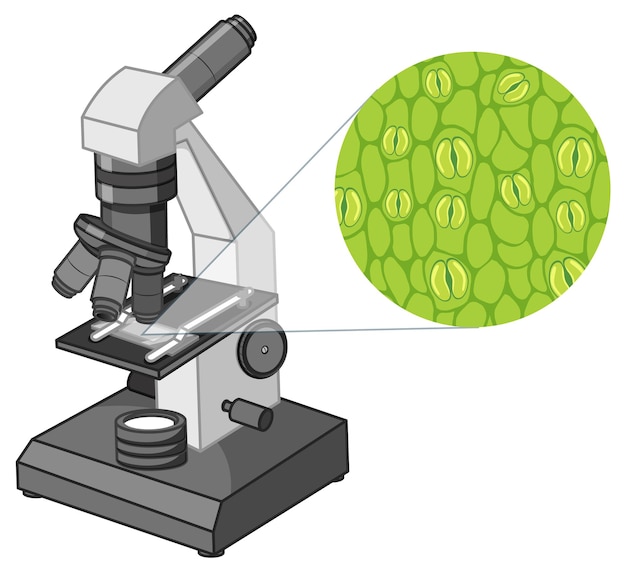 Bezpłatny wektor badanie stomatów obserwowanie struktury liści roślin za pomocą teleskopu